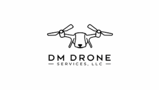 DM DRONE SERVICES, LLC logo
