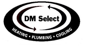 DM SELECT HEATING· PLUMBING· COOLING logo