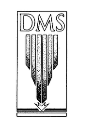 DMS logo