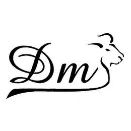DMY logo