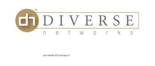 DN DIVERSE N E T W O R K S logo