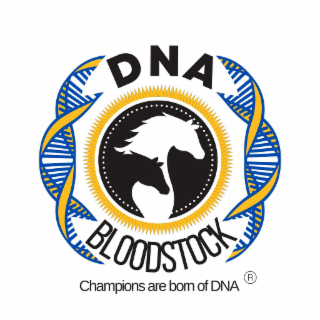 DNA BLOODSTOCK CHAMPIONS ARE BORN OF DNA logo