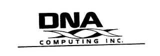 DNA COMPUTING INC.