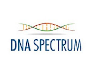 DNA SPECTRUM logo