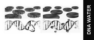 DNA WATER logo