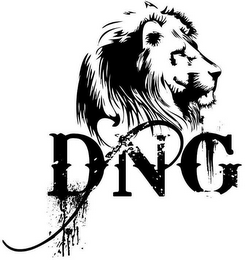 DNG logo