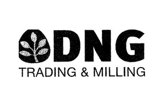 DNG TRADING & MILLING logo