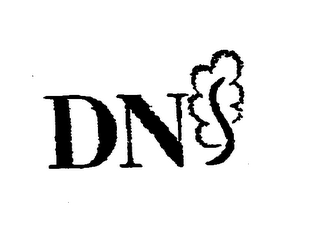 DNS