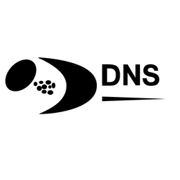 DNS logo