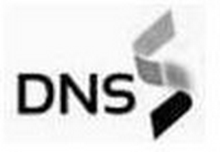 DNS logo