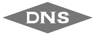 DNS logo