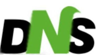 DNS logo