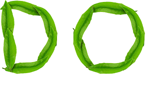 DO logo