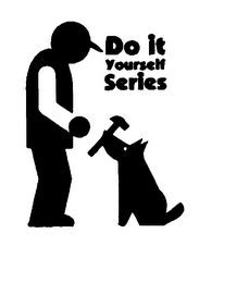 DO IT YOURSELF SERIES logo