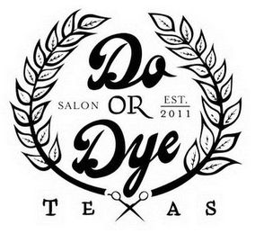 DO OR DYE TEXAS SALON EST. 2011 logo