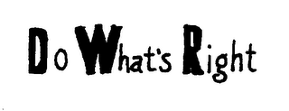 DO WHAT'S RIGHT logo