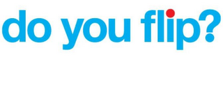 DO YOU FLIP? logo