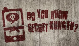 DO YOU KNOW SECRET KUNG FU? logo