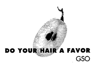 DO YOUR HAIR A FAVOR GSO logo