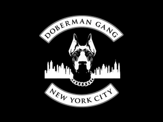 DOBERMAN GANG NEW YORK CITY logo