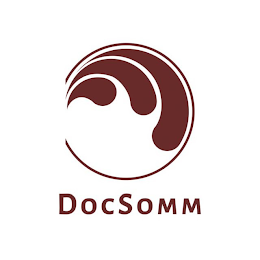 DOCSOMM logo