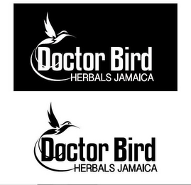 DOCTOR BIRD HERBALS JAMAICA logo