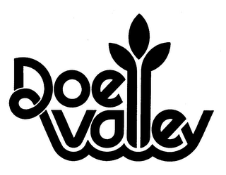DOE VALLEY logo