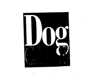 DOG CARE logo