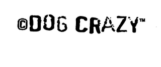 DOG CRAZY logo