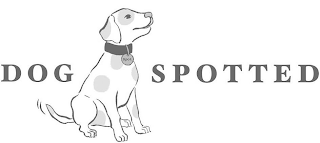 DOG SPOTTED SPOT logo