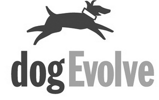 DOGEVOLVE logo
