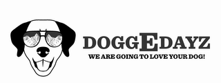 DOGGEDAYZ WE ARE GOING TO LOVE YOUR DOG! logo