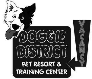 DOGGIE DISTRICT PET RESORT & TRAINING CENTER VACANCY logo