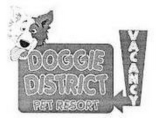 DOGGIE DISTRICT PET RESORT VACANCY logo