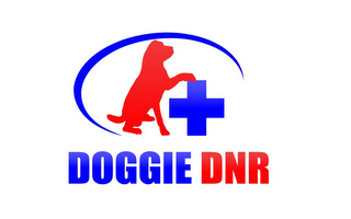 DOGGIE DNR logo