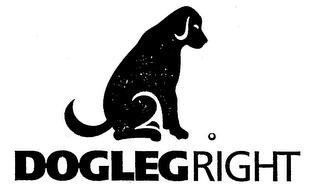 DOGLEGRIGHT logo