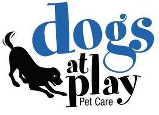 DOGS AT PLAY PET CARE logo