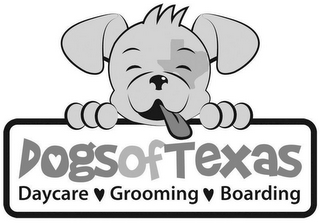 DOGSOFTEXAS DAYCARE GROOMING BOARDING logo