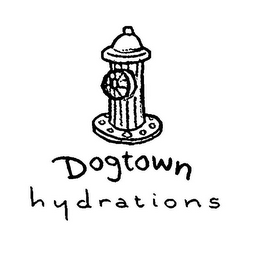 DOGTOWN HYDRATIONS logo