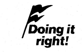 DOING IT RIGHT! logo