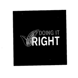 DOING IT RIGHT logo