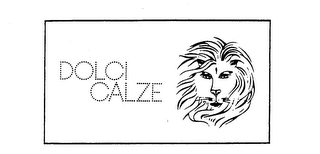 DOLCI CALZE logo