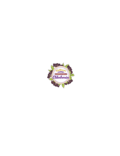 DOLLISON FARMS PURPLE GOLD ELDERBERRIES logo