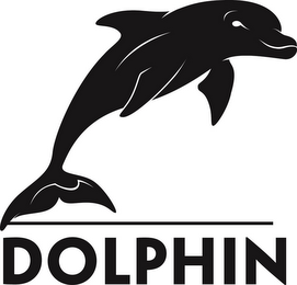 DOLPHIN logo