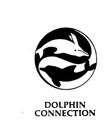DOLPHIN CONNECTION logo
