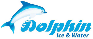 DOLPHIN ICE & WATER logo