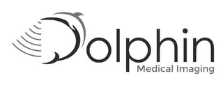 DOLPHIN MEDICAL IMAGING logo