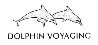 DOLPHIN VOYAGING logo