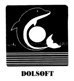 DOLSOFT logo