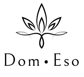 DOM ESO logo
